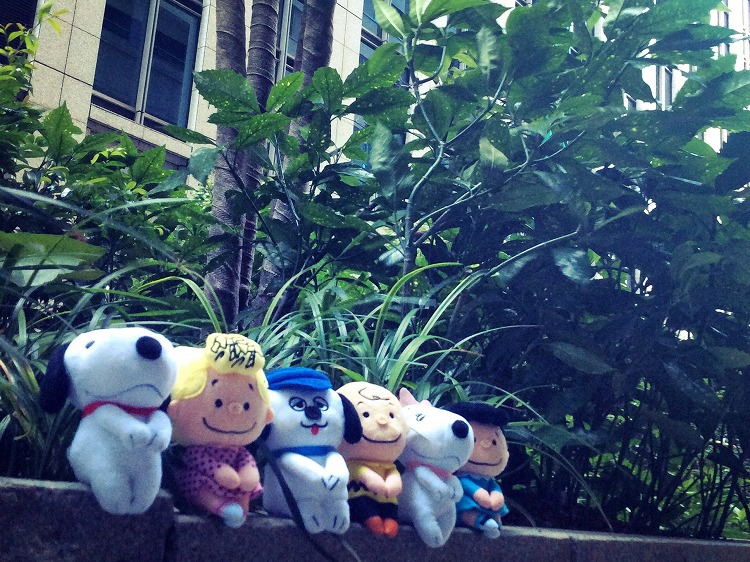 ちょっこりさんとぬい撮り Column Snoopy Co Jp 日本のスヌーピー公式サイト