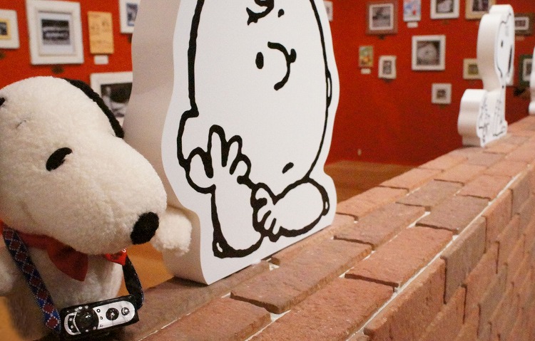 最終回のミュージアムへ ぬいぐるみと一緒に編 Column Snoopy Co Jp 日本のスヌーピー公式サイト