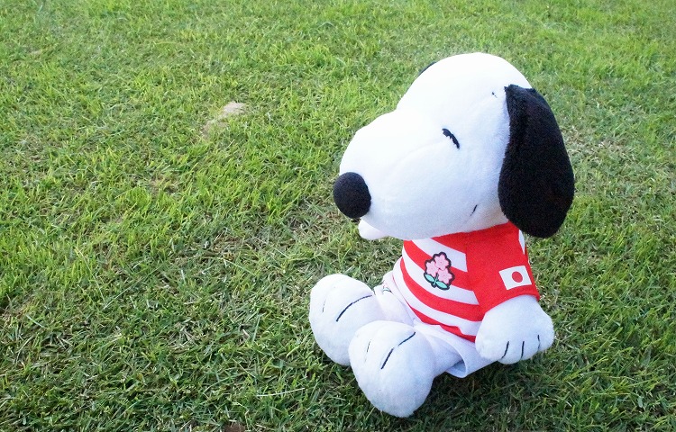 スヌーピーとラグビー日本代表を応援！ | COLUMN | SNOOPY.co.jp：日本