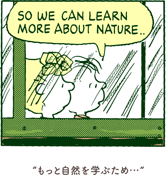 もっと自然を学ぶため...