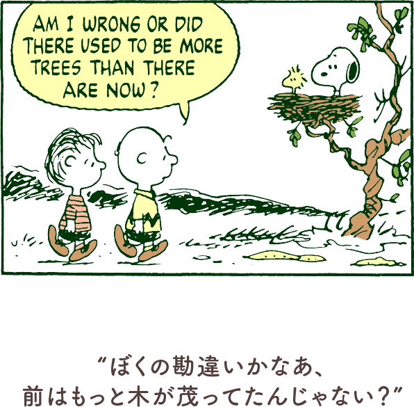 ぼくの勘違いかなあ、前はもっと木が茂ってたんじゃない?