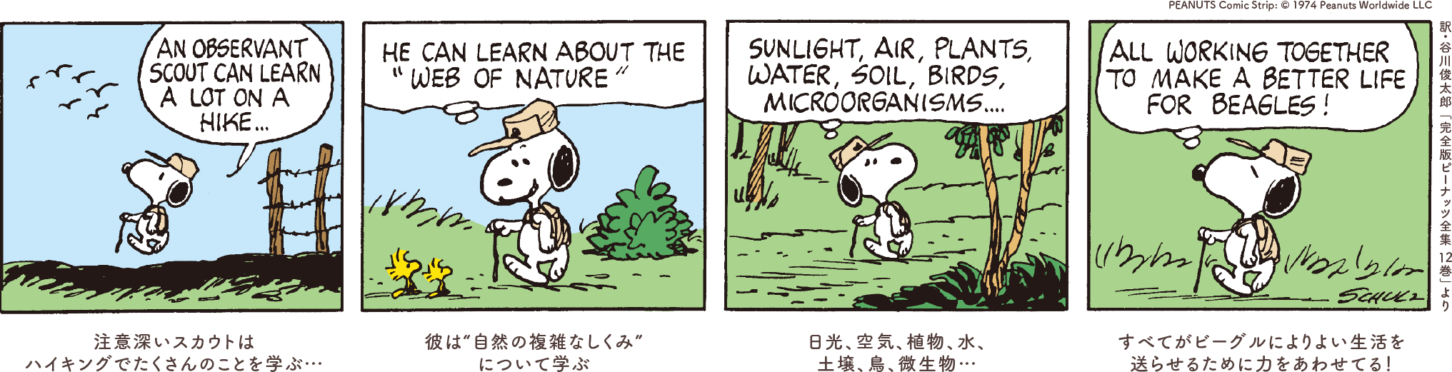 1コマ目：注意深いスカウトはハイキングでたくさんのことを学ぶ… 2コマ目：彼は“自然の複雑なしくみ”について学ぶ 3コマ目：日光、空気、植物、水、土壌、鳥、微生物… 4コマ目：すべてがビーグルによりよい生活を送らせるために力をあわせてる！ PEANUTS Comic Strip: © 1974 Peanuts Worldwide LLC 訳:谷川俊太郎「完全版ピーナッツ全集 12巻」より