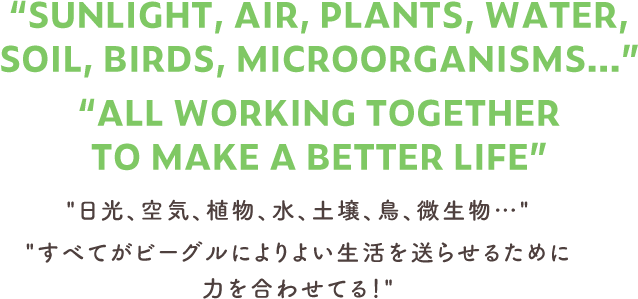 “SUNLIGHT, AIR, PLANTS, WATER, SOIL, BIRDS, MICROORGANISMS…” “ALL WORKING TOGETHER TO MAKE A BETTER LIFE” "日光、空気、植物、水、土壌、鳥、微生物…" "すべてがビーグルによりよい生活を送らせるために力を合わせてる！"