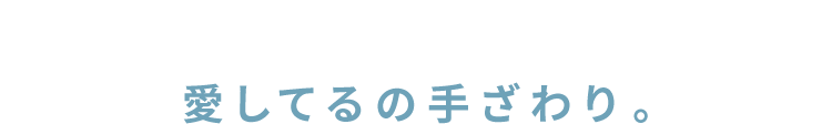 愛してるの手ざわり。