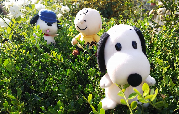 レトロ可愛い レトロンズ Column Snoopy Co Jp 日本のスヌーピー公式サイト