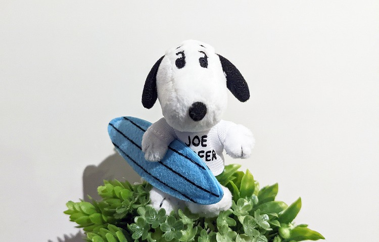 SNOOPY'S SURF SHOPがやってくる！ | COLUMN | SNOOPY.co.jp：日本の