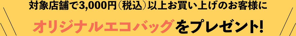 対象店舗で3,000円(税込)以上お買い上げのお客様にオリジナルエコバッグをプレゼント!